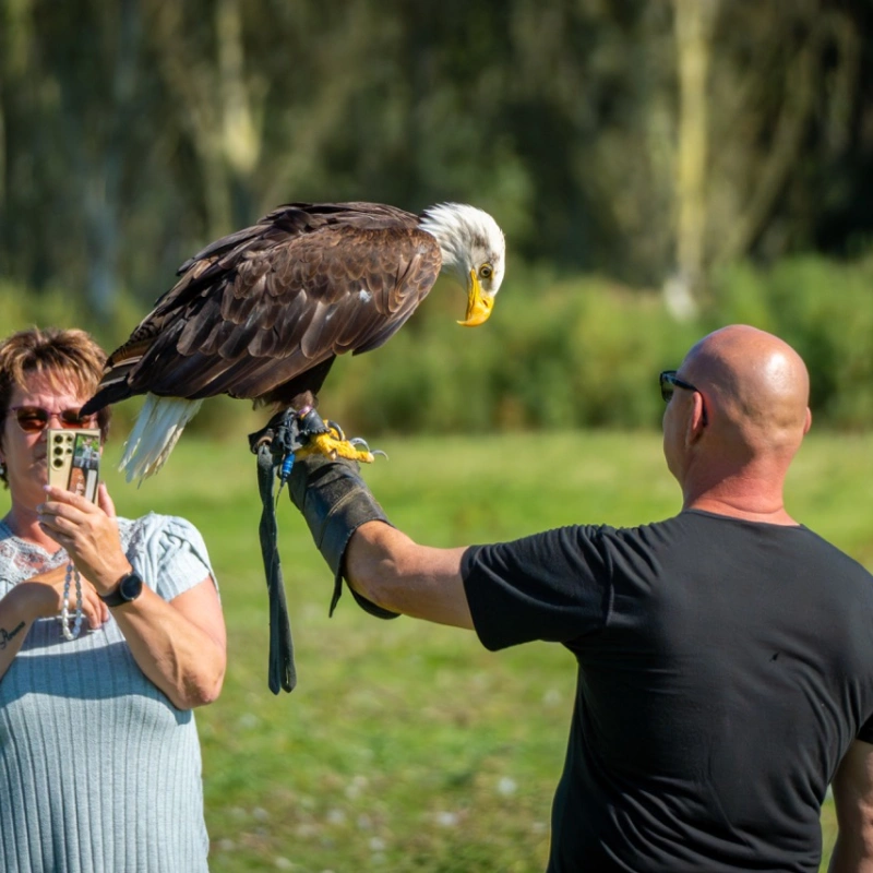 Vrouw maakt foto van Vogel op hand 38764
